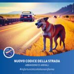 nuovo codice della strada 2024 abbandono di animali