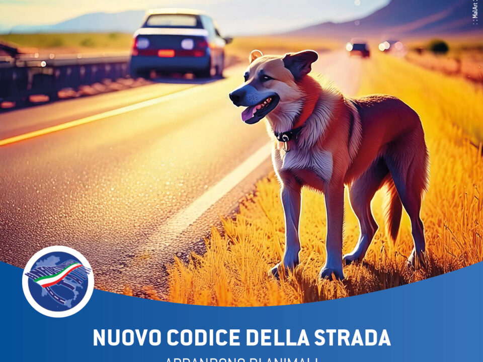 nuovo codice della strada 2024 abbandono di animali